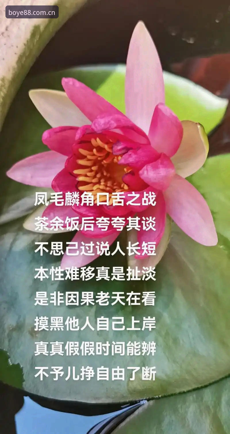 大胆假设，小心求证——佛得角本轮不败合不合理？